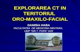 EXPLORAREA CT IN TERITORIUL  ORO-MAXILO-FACIAL