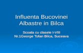Influenta Bucovinei Albastre in Bilca