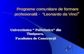 Program e comunitare de formare profesională -  “Leonardo da Vinci ”