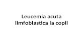 Leucemia acuta limfoblastica la copil