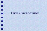 Familia  Paramyxoviridae