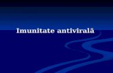 Imunitate  antiviral ă