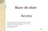 Baze de date  Access