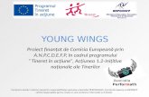 YOUNG WINGS