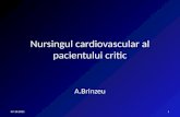 Nursingul  cardiovascular al  pacientului  critic