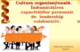 Cultura organizațională.  Îmbunătăţirea capacităţilor personale de  leadership colaborativ.