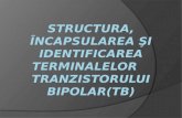 Structura ,  încapsularea şi identificarea terminalelor Tranzistorului  Bipolar(TB)