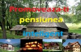Despre Asociatia Pensiunilor din Romania (APM)