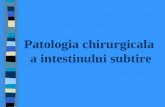 Patologia chirurgicala  a intestinului subtire