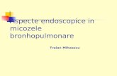 Aspecte endoscopice in micozele bronhopulmonare