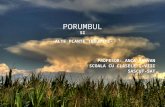 PORUMBUL SI - ALTE PLANTE INRUDITE-
