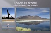 SALAR de UYUNI - desertul  de  sare -