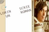 FLORIN    SCRIE UN     ROMAN