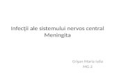 Infec ţii  ale  sistemului nervos  central Meningita