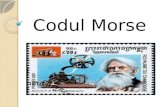 Codul  Morse