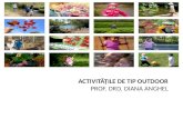 Activitățile de tip outdoor prof. Drd. Diana anghel