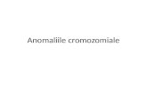 Anomaliile cromozomiale