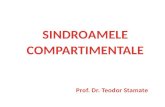 SINDRO A MELE COMPARTIMENTALE