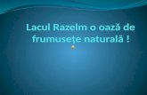 Lacul Razelm o oază de f rumuse ţe naturală !