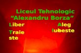 Liceul Tehnologic “Alexandru Borza”