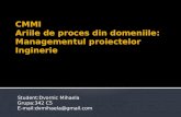 CMMI Ariile  de  proces  din  domeniile : Managementul proiectelor Inginerie