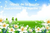 -Verde de la Scoala-  Saptamana 1-5 Aprilie 2013