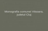 Monografia comunei Viisoara, judetul Cluj