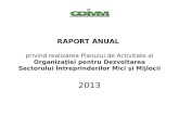 RAPORT ANUAL  privind realizarea Planului de Activitate al Organizaţiei pentru Dezvoltarea Sectorului Întreprinderilor Mici şi Mijlocii 201 3