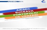 Mapa vanzari AIESEC Suceava
