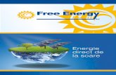 Presentazione Free Energy