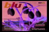 Revista Blu, martie 2010