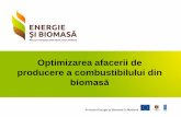 Optimizarea Afacerilor Biocombustibil