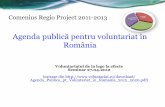 agenda publica pentru voluntariat