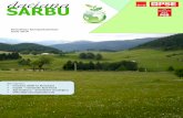 Newsletter Iunie 2010 - Daciana Sarbu