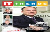 IT Trends - ianuarie 2011