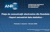 Raport final date statistice sem  I 2006