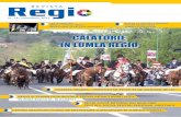 Revista Regio nr.16/noiembrie 2012: Călătorie în lumea Regio.