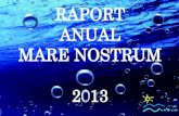 Raport anual 2013
