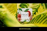 FROG catering
