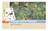 Analiza activitate 2009 -Ranger Junior