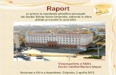 Raport 2011