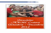 Newsletter Alumni AIESEC Craiova, octombrie-decembrie 2012