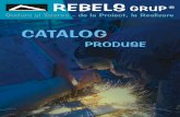 catalog Rebels