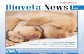 Bioveta Newsletter 01/08
