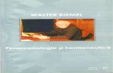 Walter Biemel - Fenomenologie si hermeneutica