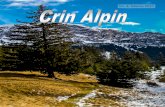 Crin alpin nr 4