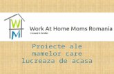 Proiecte ale mamelor care lucreaza de acasa
