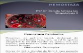 Curs 1 - Hemostaza