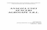 Analiza Unei Afaceri - Agrosape SRL 2