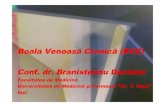 Boala Venoasa Cronica MG nov 2010.pdf